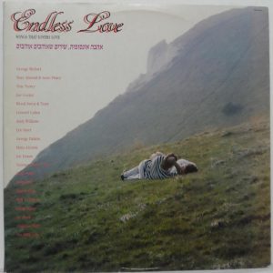 Endless Love – 80’s Love Ballads Comp. 2LP set George Michael Tina Terner Israel