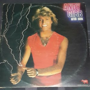 Andy Gibb – After Dark  RSO 2394 247 Israeli lp Israel Bee Gees