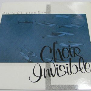 CHOIR INVISIBLE – Sea To Shining Sea LP 1984 USA punk rock PVC 6905